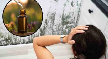 Muffa in casa, come eliminarla in modo del tutto naturale: il rimedio che funziona