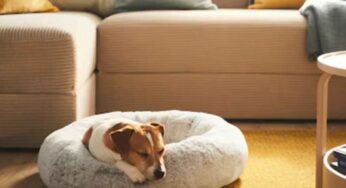 Accessori per cani Ikea, le cose che non sapevi potessero servirti
