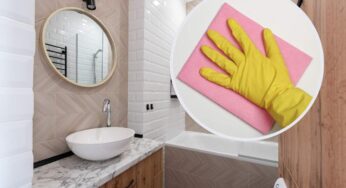 Tutti lo hanno in bagno e nessuno lo pulisce all’interno: non immagini quelli che sono i rischi di questo “dischetto”