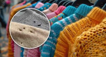 I maglioni vengono presi di mira dalle tarme? Prova questo rimedio naturale e te ne sbarazzi subito