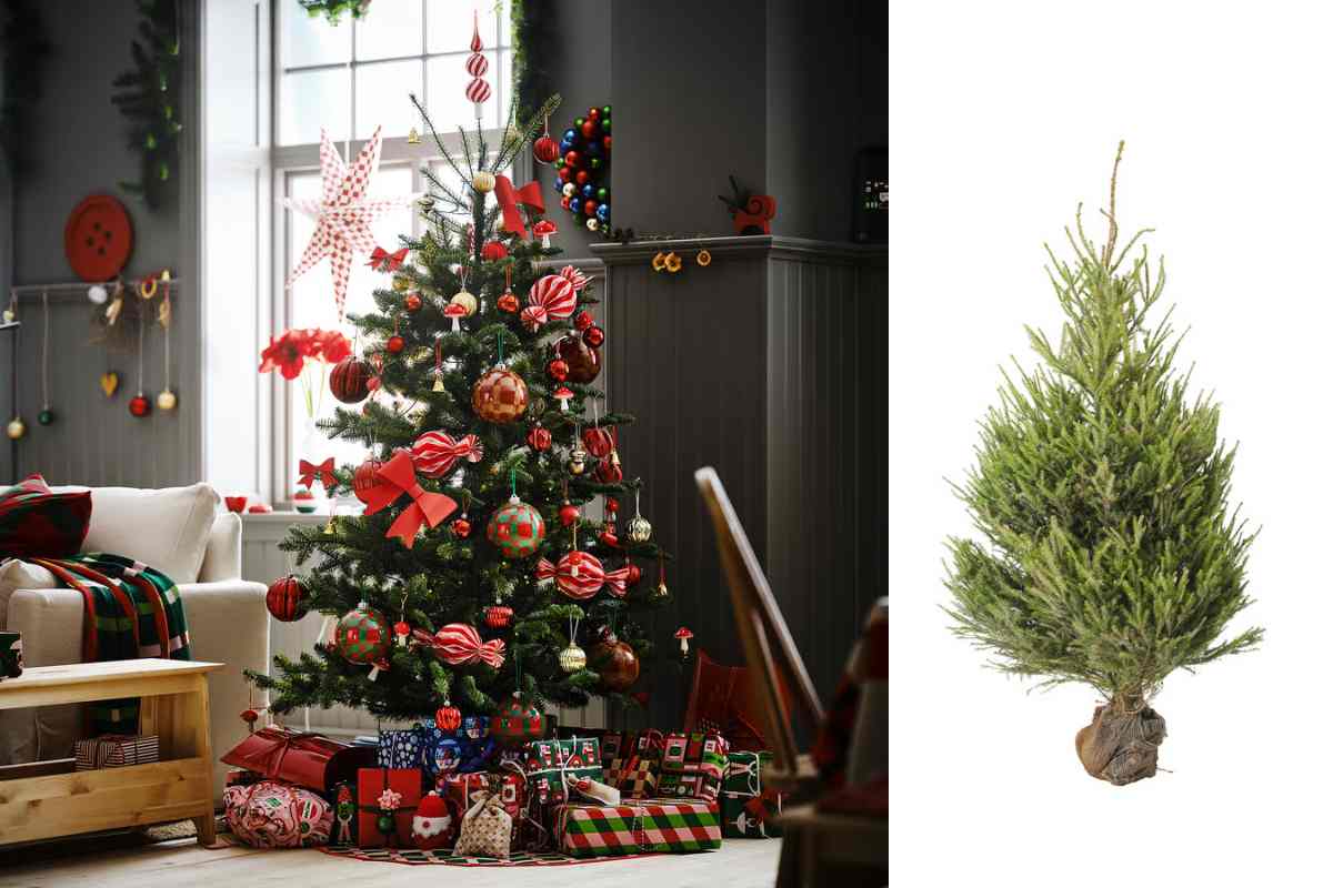 Due foto di alberi di Natale Ikea, a sinistra artificiale addobbato e a destra vero