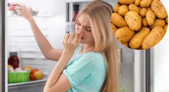 Addio cattivi odori dal frigo con il metodo della patata cruda: rimedio efficacissimo a costo zero