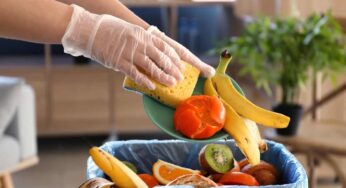 Il cesto della spazzatura puzza troppo? Dì basta ai cattivi odori grazie a 3 rimedi sensazionali