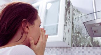 Muffa sulle pareti di casa? Non serve la candeggina per rimuoverla, ma questo elisir miracoloso