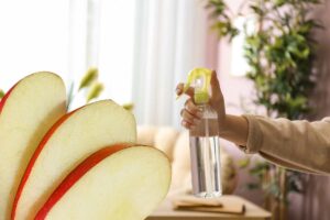 Salotto, persona con in mano uno spray