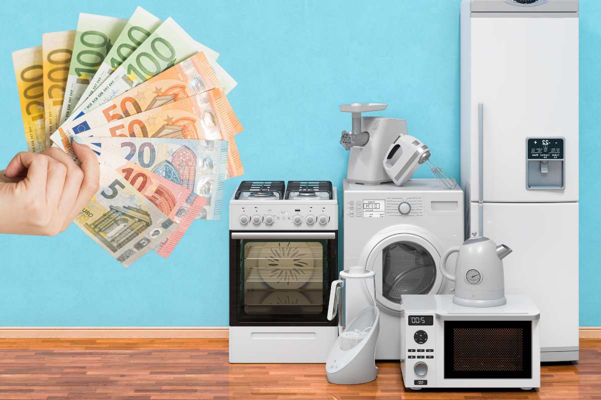 elettrodomestici banconote euro in mano