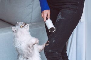 rullo adesivo peli gatto