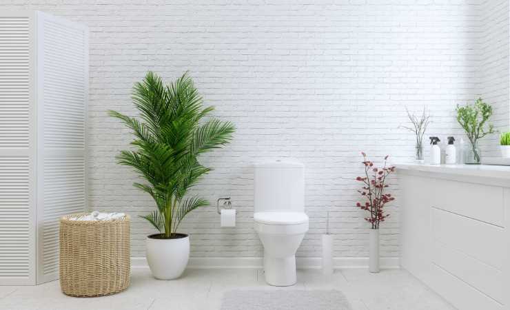 Bagno con piante e cestini di vimini