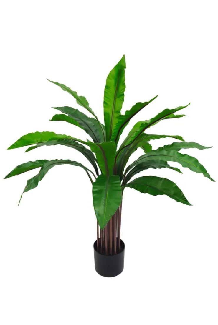 pianta finta