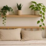 Piante e letto