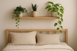 Piante e letto