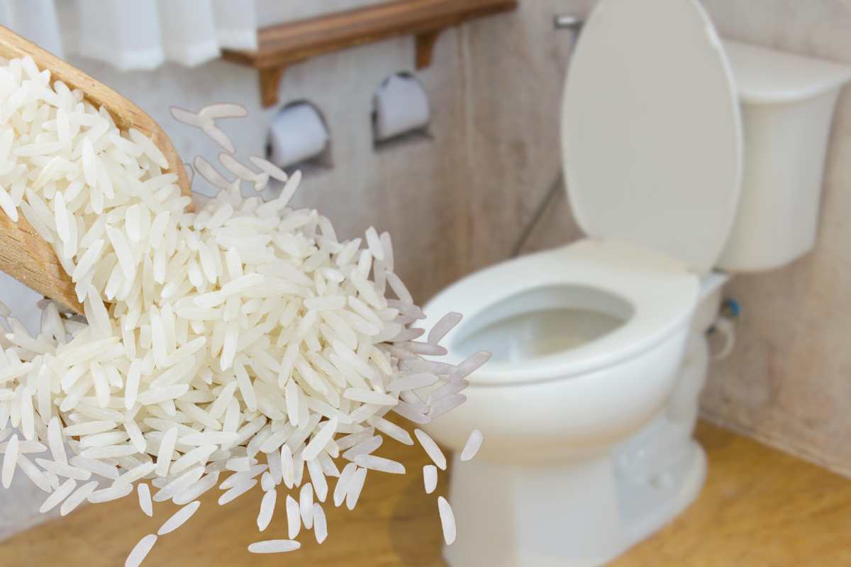 Chicchi di riso, sullo sfondo un bagno