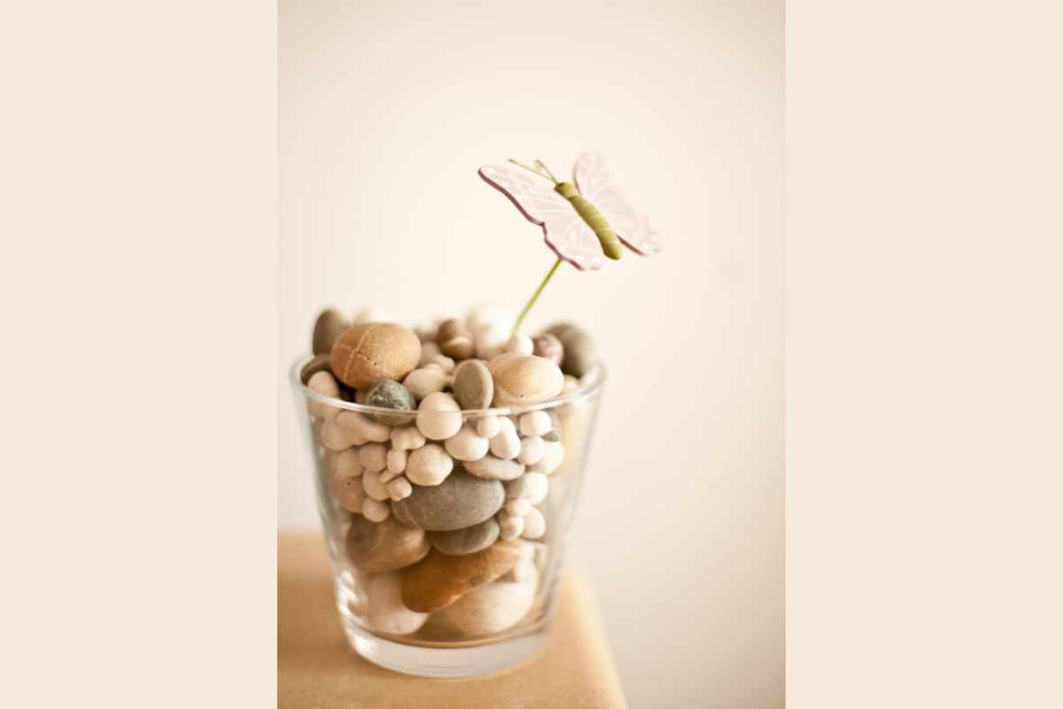 vaso di vetro con i sassi