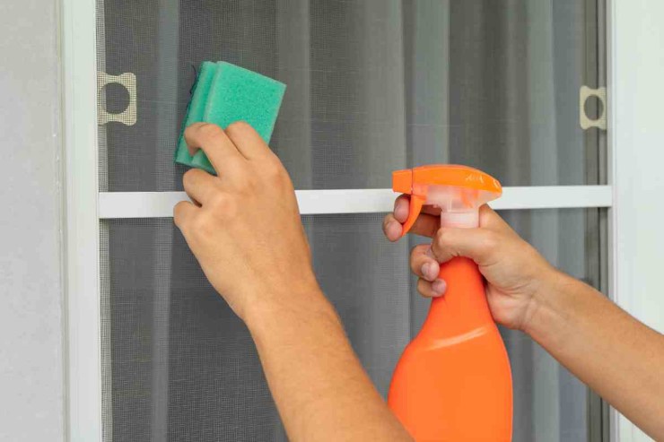 mano che pulisce zanzariera con spray e spugnetta