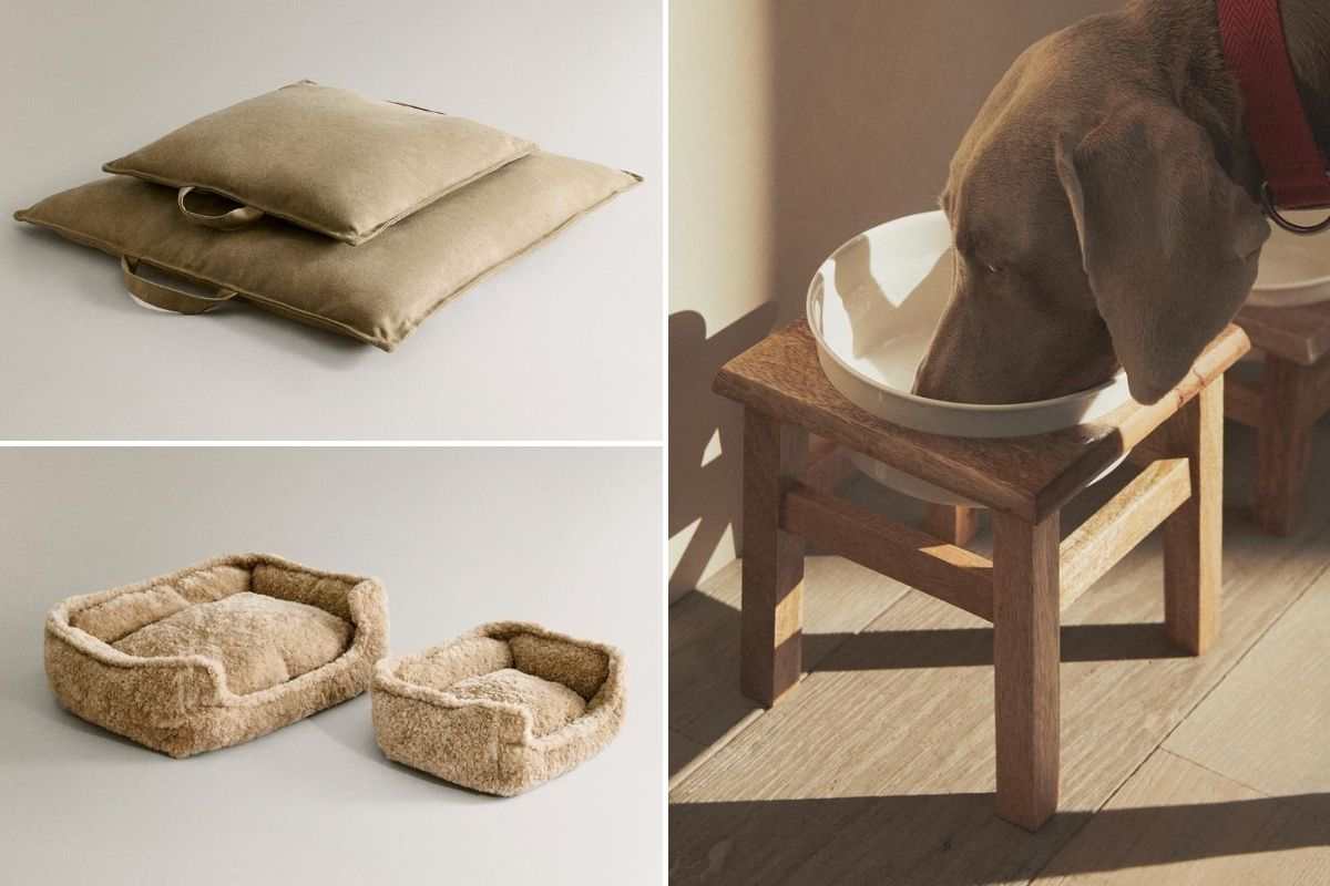cuscino, cuccia e ciotola
