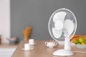 ventilatore da tavolo, tazze, frutta