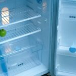 frigo vuoto con mela