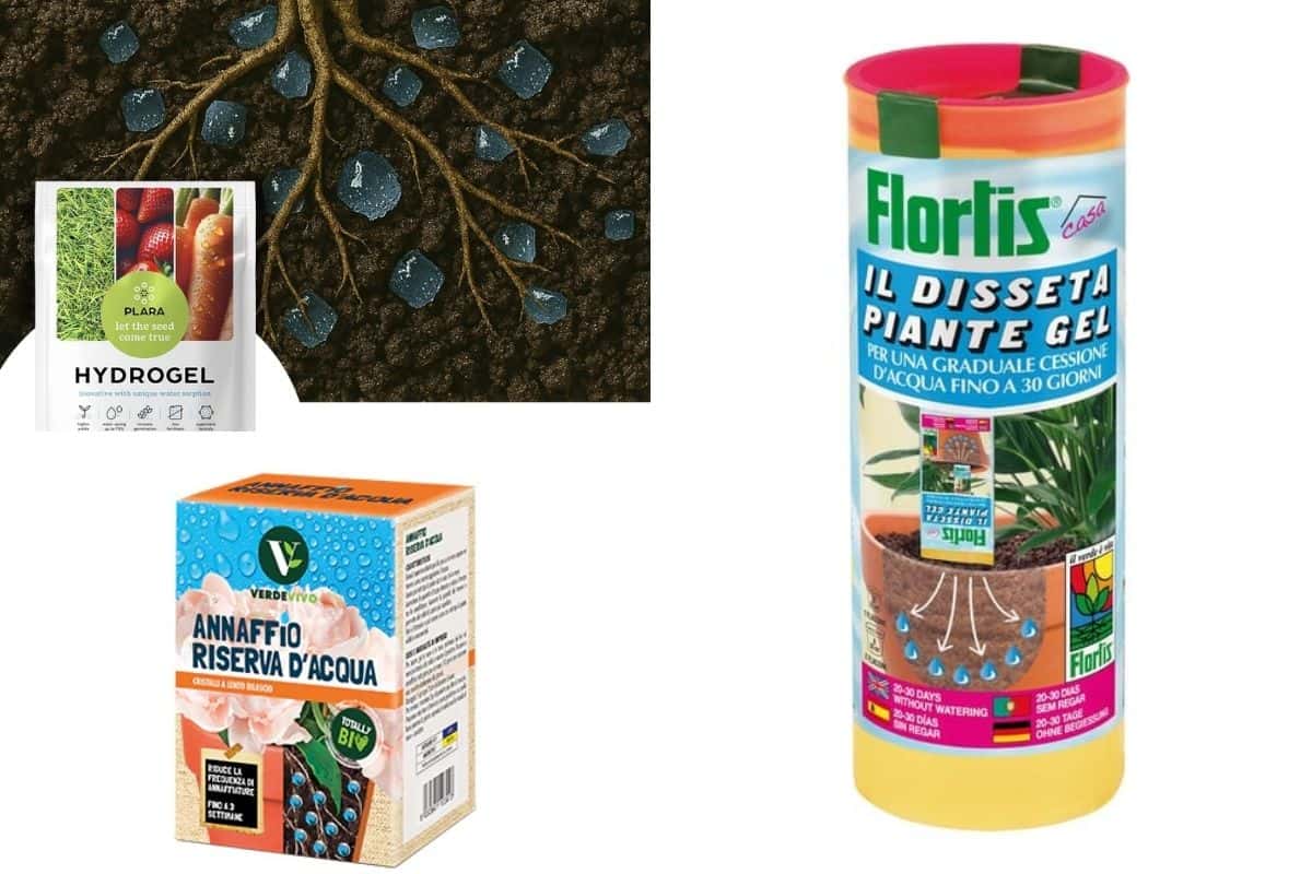 Plante gel