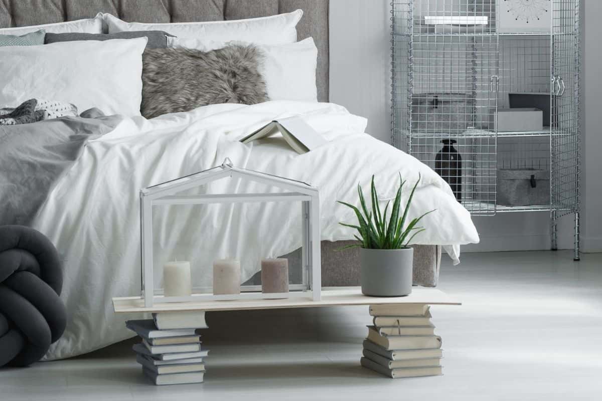 pianta aloe e letto