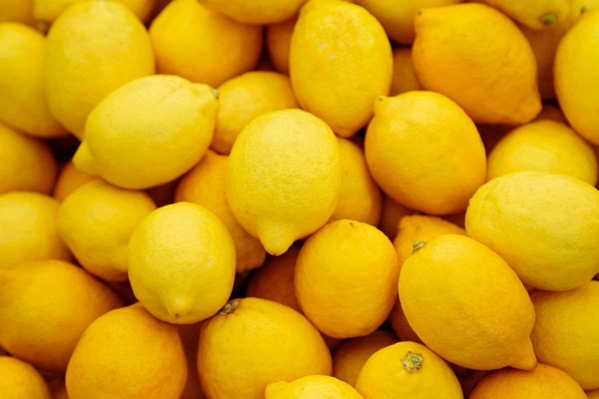 Limoni