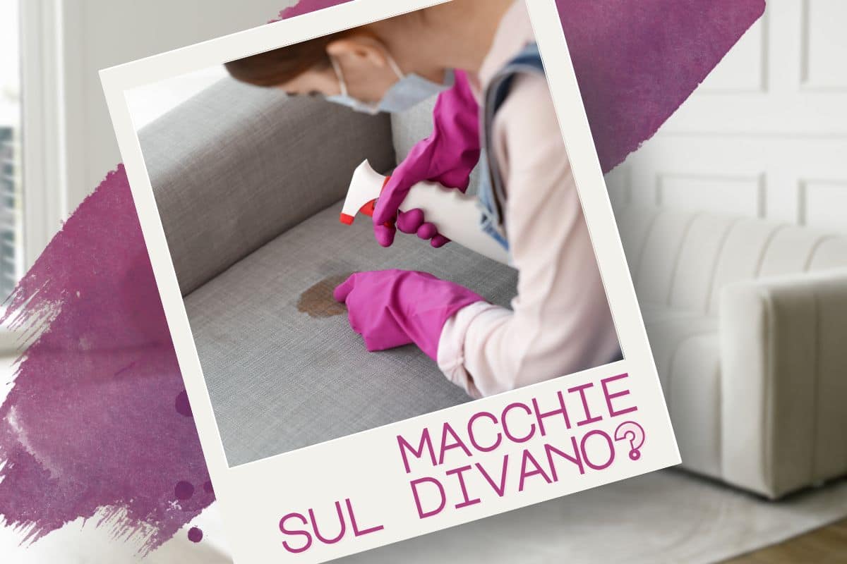 donna pulisce macchia divano