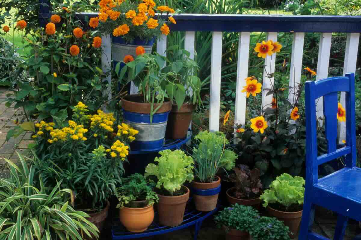 piante, vasi e fiori nel balcone
