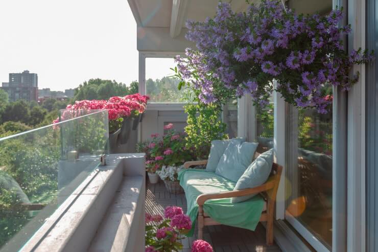piante e fiori sul balcone