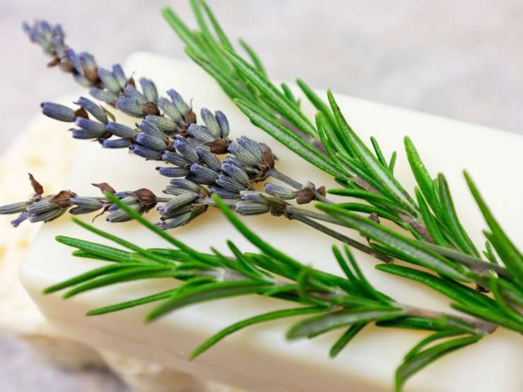 rosmarino e sapone