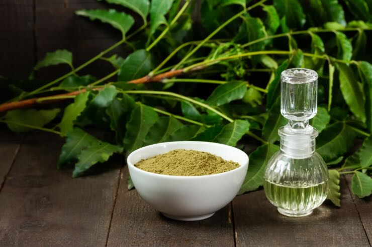 foglie, polvere e olio di neem