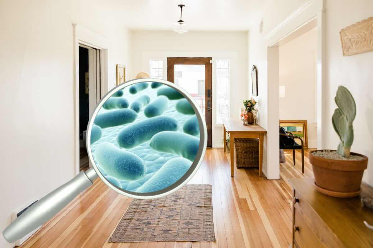 Casa, lente di ingrandimento microrganismi