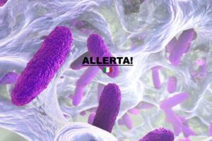 Biofilm