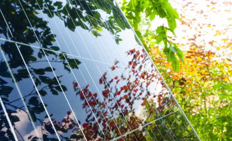 Pannello fotovoltaico tra gli alberi