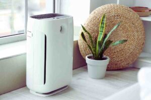 purificatore d'aria con pianta vicino