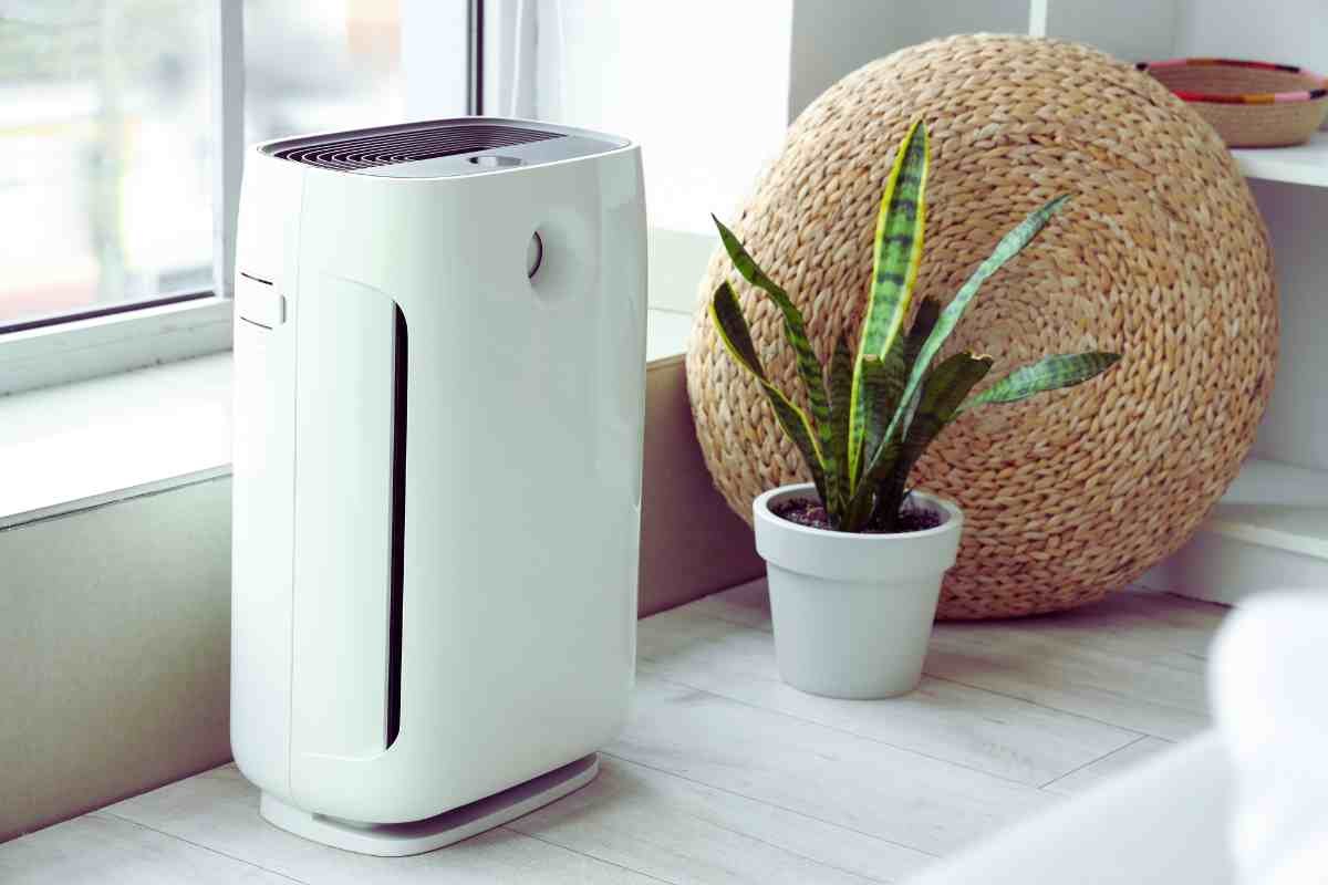 purificatore d'aria con pianta vicino