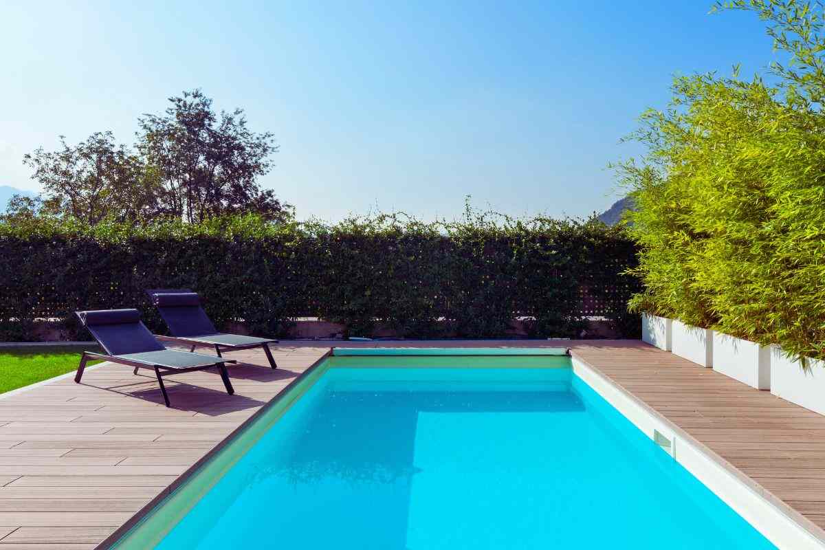 piscina con alberi vicino