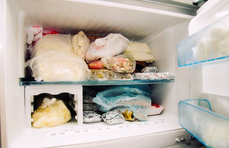 cibo nel freezer aperto