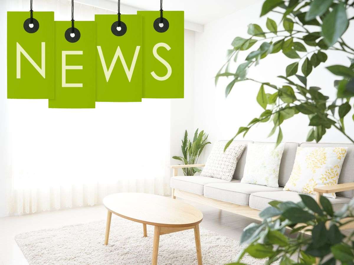 sfondo salotto luminoso e scritta NEWS