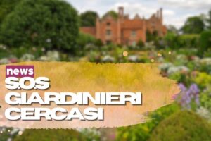 giardino