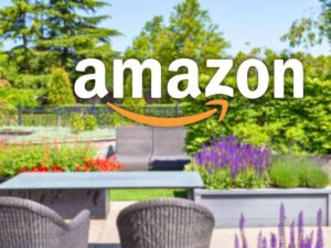 sfondo giardino con sedie e scritta Amazon
