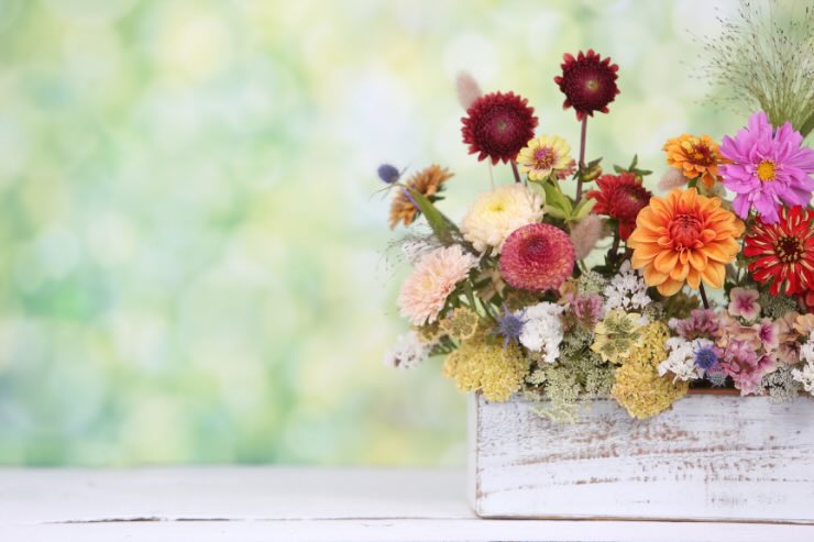 scatola con fiori