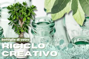 Bottiglia di vetro con pianta