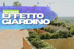 Terrazzo con piante