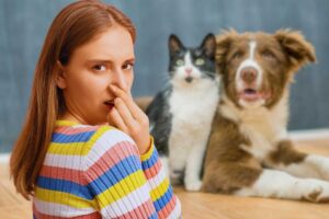 Donna, cane e gatto