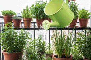 Piante in balcone e annaffiatoio