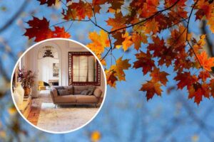 Foglie, interno casa