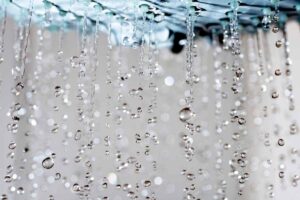 acqua che esce dalla doccia vista da vicino