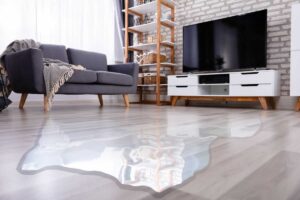Salotto con acqua a terra