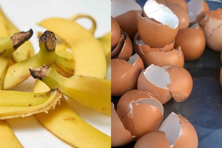 Banane e gusci d'uovo