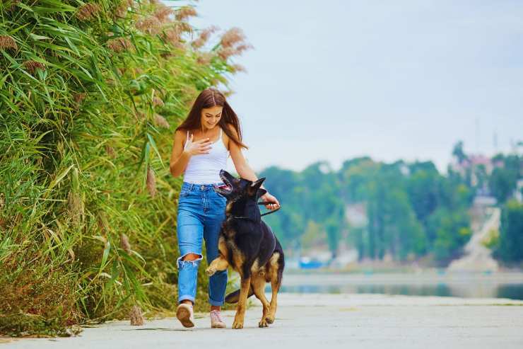 ragazza che passeggia con il cane