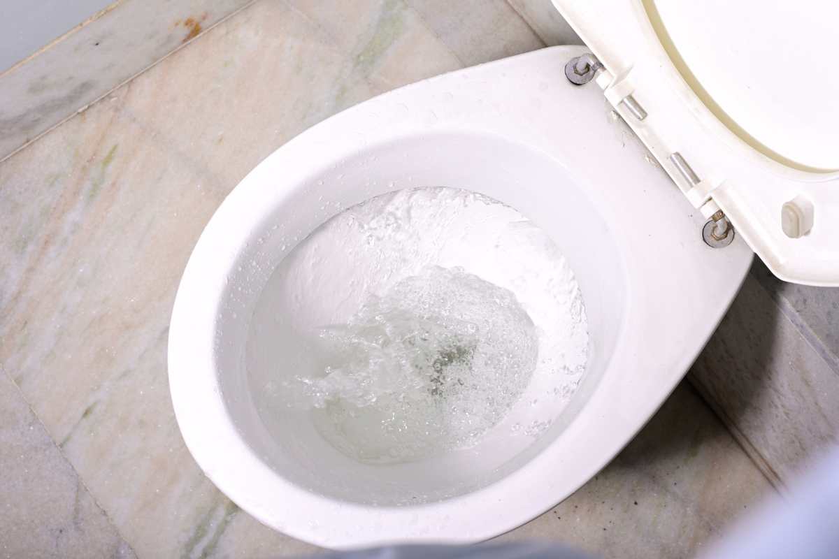 tazza del water